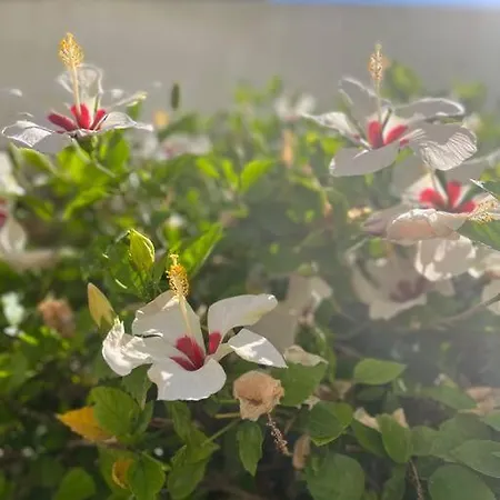 Reihenhaus Mit Garten In Moravit Moraira Apartamento *